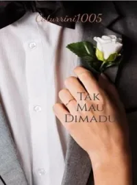 Sampul Novel TAK MAU DIMADU