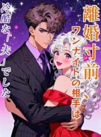 離婚寸前、ワンナイトの相手は冷酷な「夫」でした の小説カバー