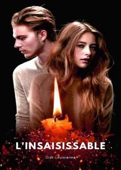 Couverture du roman L'insaisissable