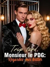Couverture du roman Trop tard, Monsieur le PDG: Regardez-moi briller