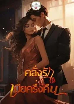 หน้าปกนวนิยาย คลั่งรักเมียครึ่งคืน