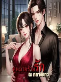 คู่หมายร้ายรัก