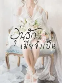 หน้าปกนวนิยาย วุ่นรักเมียจำเป็น