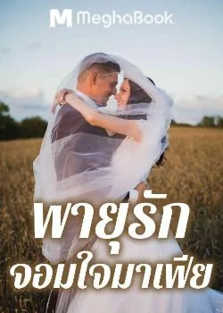 ภาพปกนิยายเรื่อง พายุรักจอมใจมาเฟีย