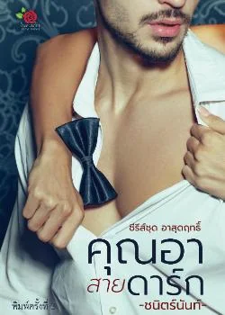 ภาพปกนิยายเรื่อง คุณอาสายดาร์ก