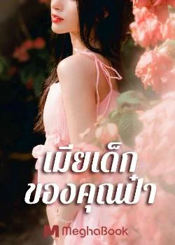 ภาพปกนิยายเรื่อง เมียเด็กของคุณป๋า