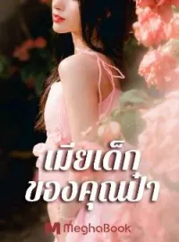 หน้าปกนวนิยาย เมียเด็กของคุณป๋า