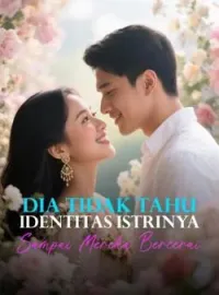 Sampul Novel Dia Tidak Tahu Identitas Istrinya Sampai Mereka Bercerai
