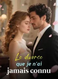 Couverture du roman Le divorce que je n'ai jamais connu