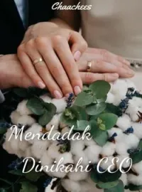 Sampul Novel Mendadak Dinikahi CEO