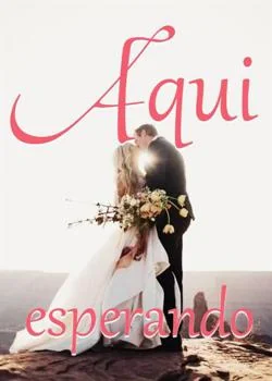 Capa do romance Aqui esperando
