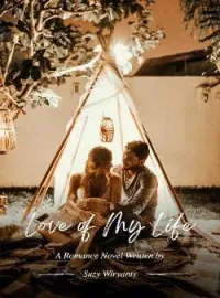 Sampul Novel Love of My Life