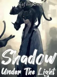 Sampul Novel Shadow Under The Light