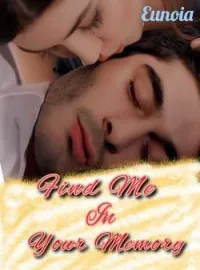 Sampul Novel Find Me In Your Memory