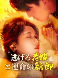 逃げる花嫁と運命の新郎