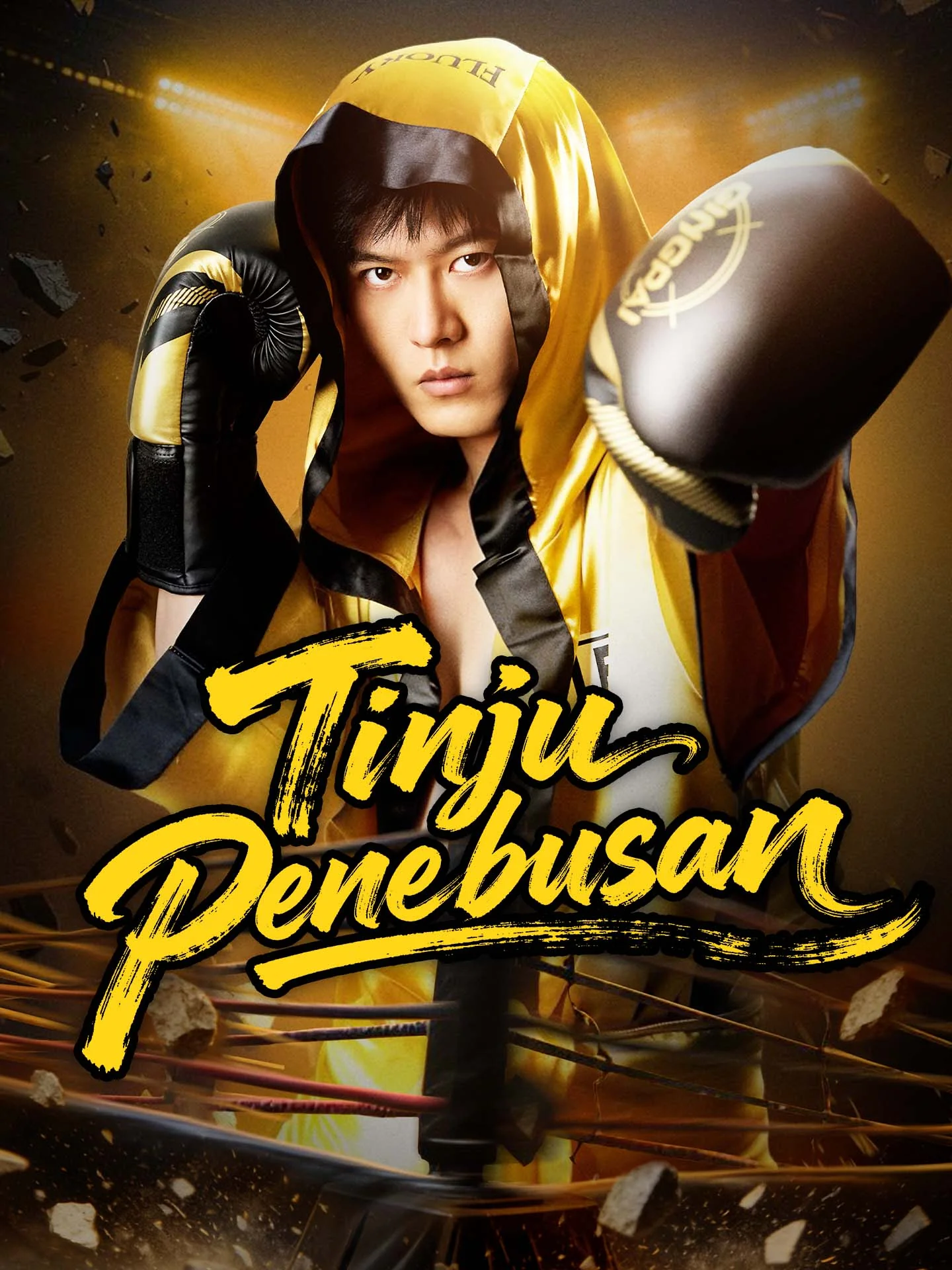 Sampul Tinju Penebusan