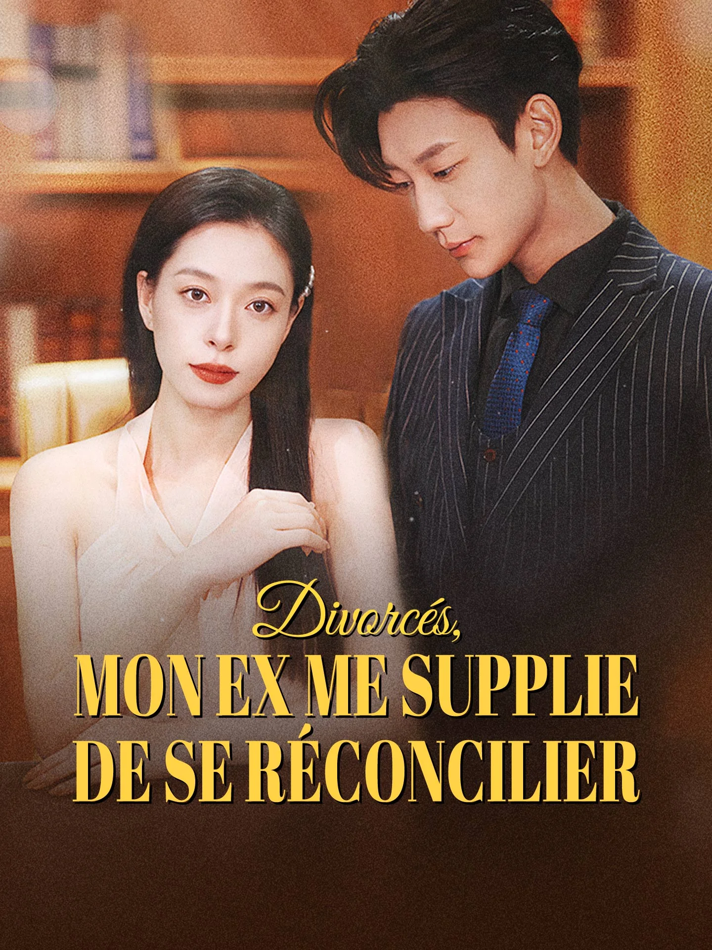Divorcés, mon ex me supplie de se réconcilierMini-séries