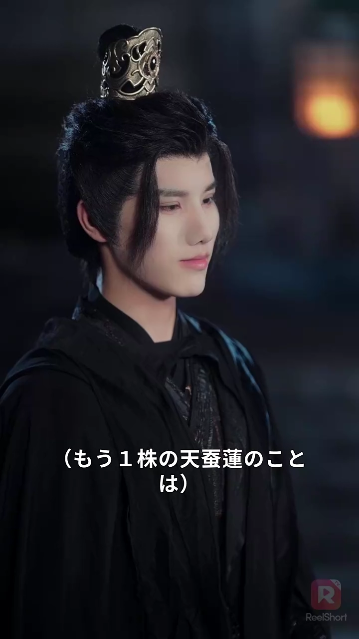 病の夫を捨て、首輔のもとへ写真