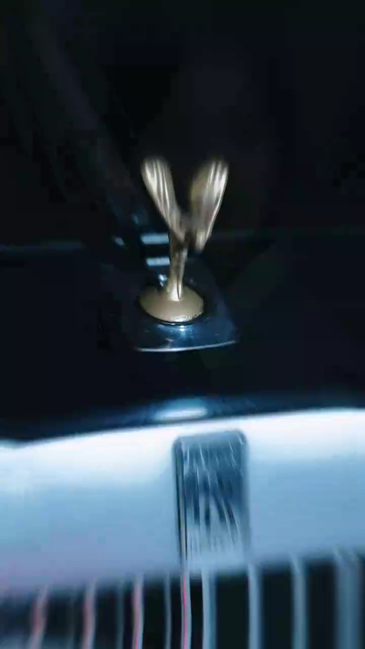 ミス・シュプリームの掟写真