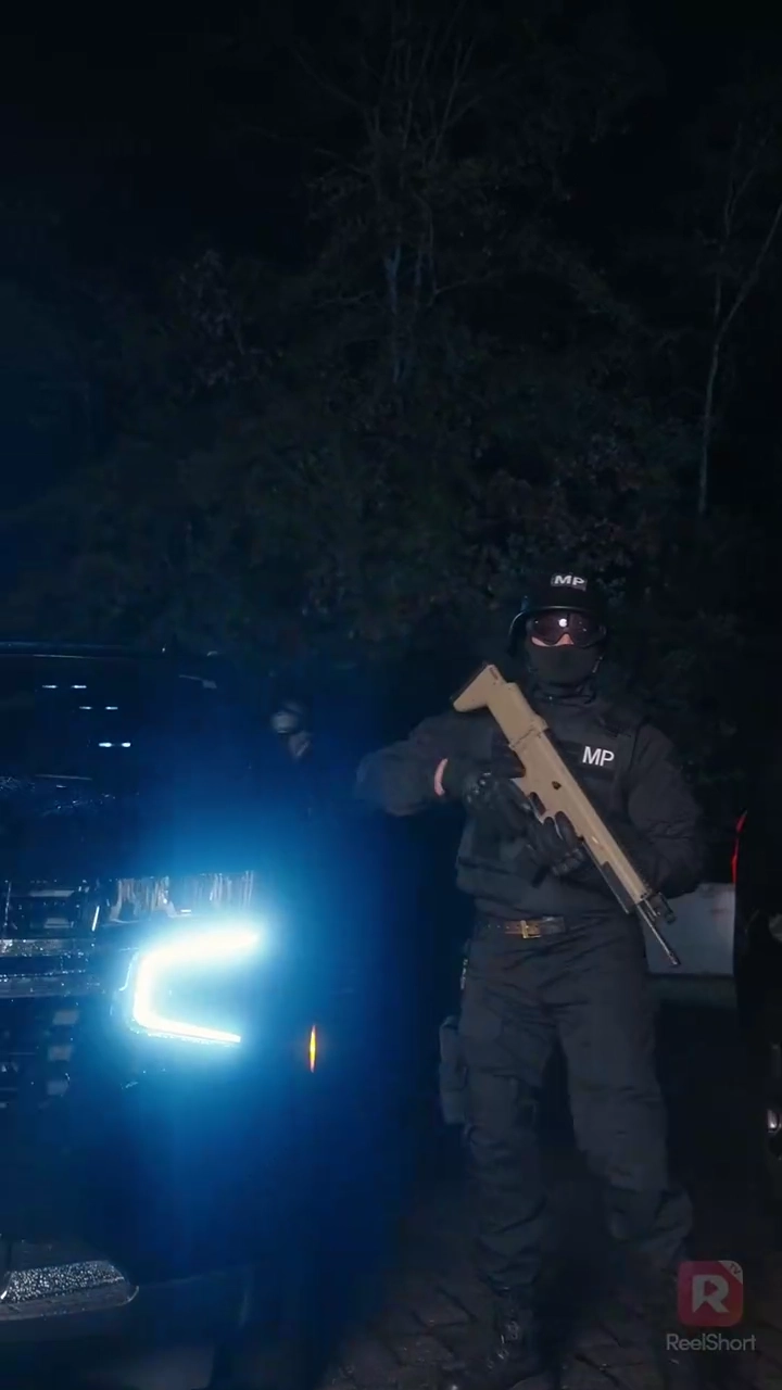 「吹き替え」白いクリスマスの白い嘘写真