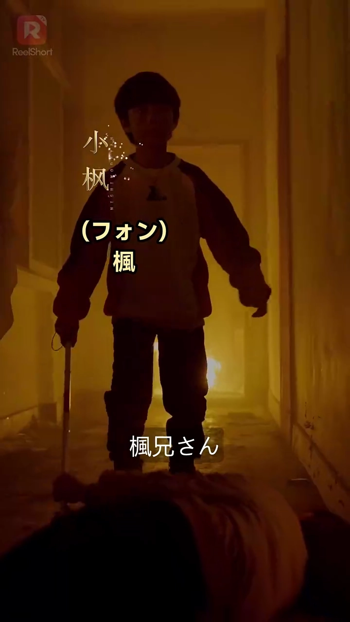 運命の瞳〜導かれる愛〜写真