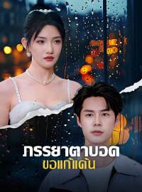 ภรรยาตาบอดขอแก้แค้นซีรีส์สั้น