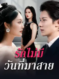รักไม่มีวันที่มาสายมินิซีรีส์