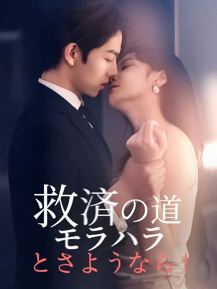 救済の道、モラハラとさようなら！ミニシリーズ