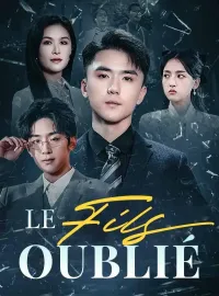 Le Fils OubliéMini-séries
