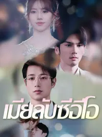 เมียลับซีอีโอมินิซีรีส์