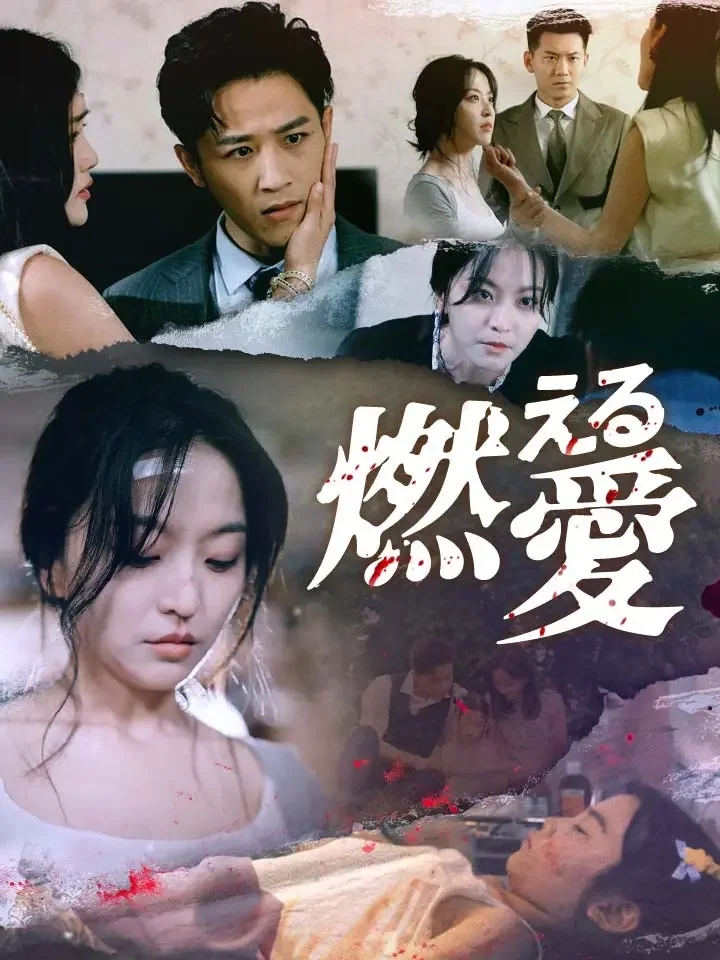 燃える愛ミニシリーズ