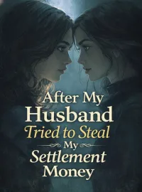 After My Husband Tried to Steal My Settlement Money Novel Cover