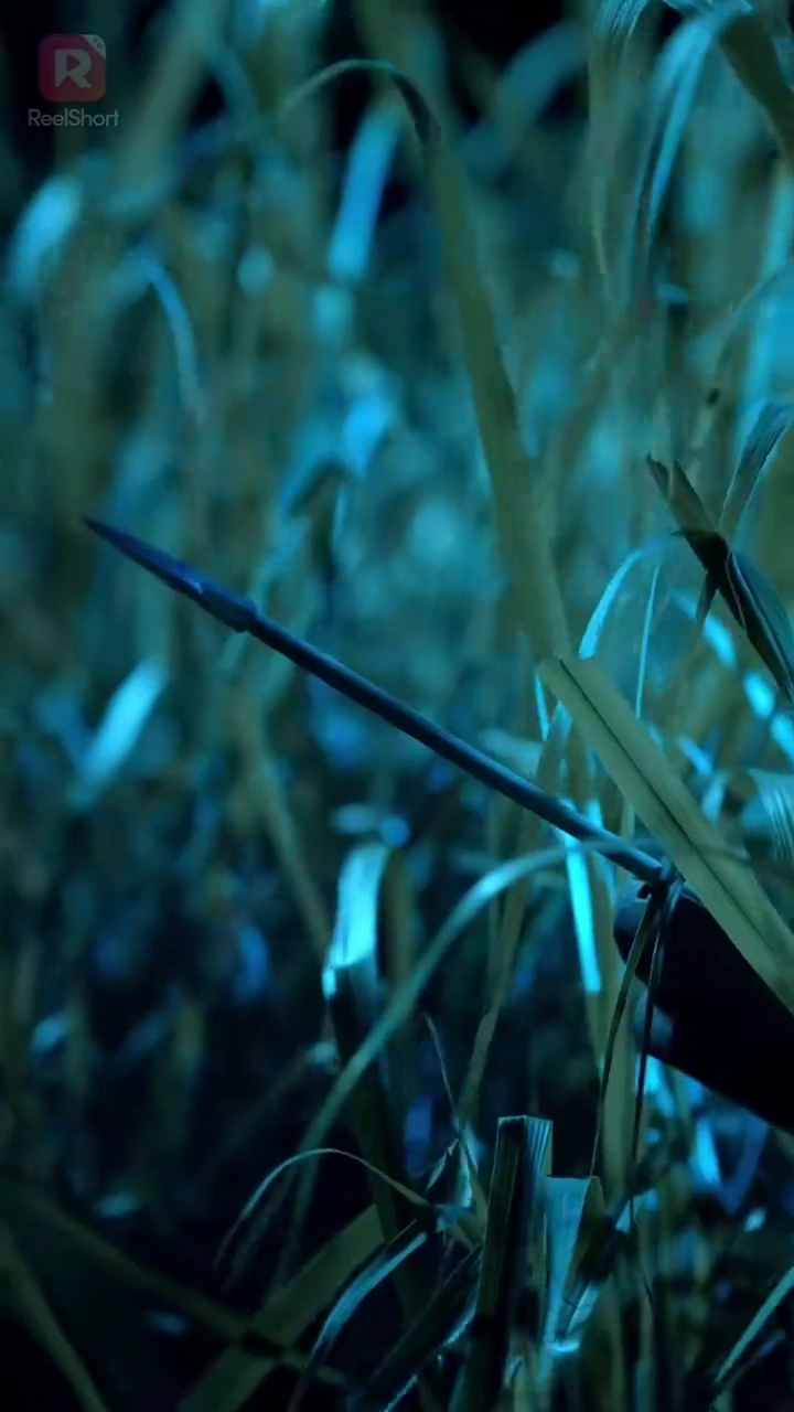 女将軍針より槍！写真