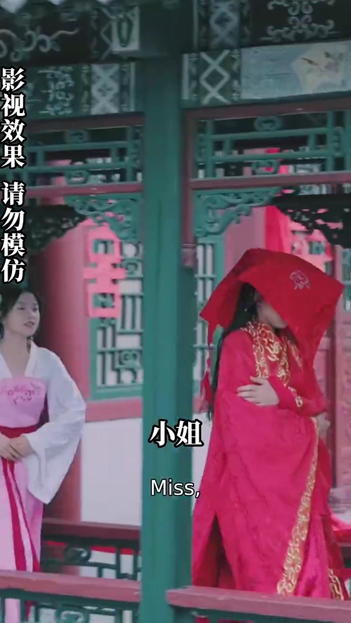 The Substitute BridePhoto