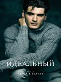 Обложка новеллы Идеальный