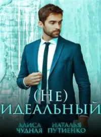 Обложка новеллы (Не)идеальный