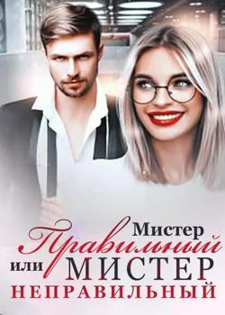 Обложка новеллы Мистер Правильный или Мистер Неправильный