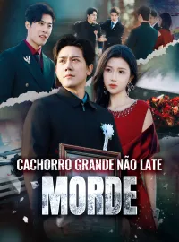 Cachorro Grande não Late, MordeMini Séries