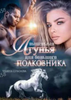 Обложка новеллы Маленькая лгунья для большого полковника