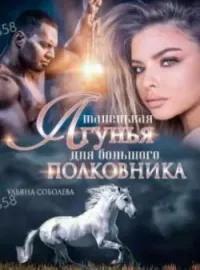 Обложка новеллы Маленькая лгунья для большого полковника