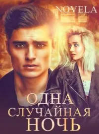 Обложка новеллы Одна случайная ночь