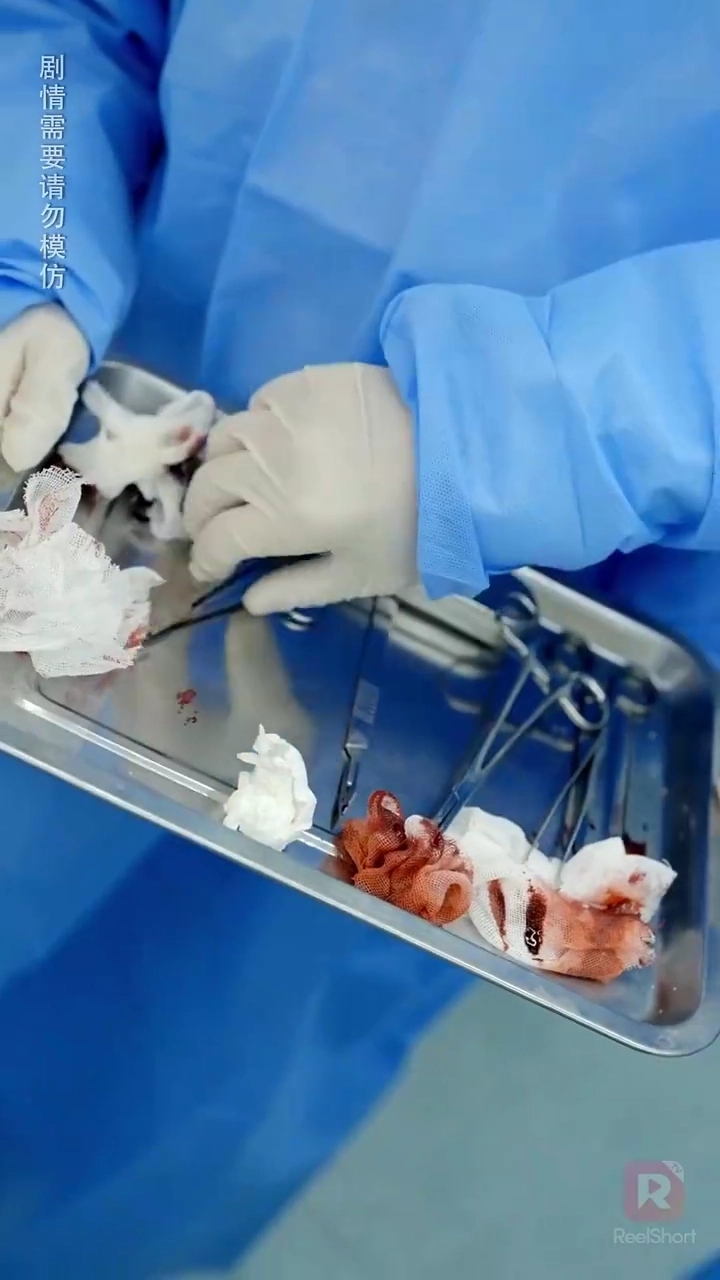 Mimar Minha Esposa Depois de AcordarFoto