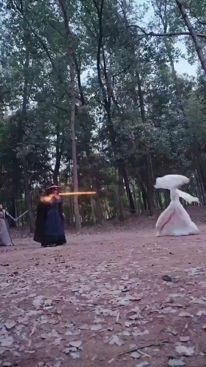 [Versão Dublada] Espada da Vingança: O Quebrador do CéuFoto