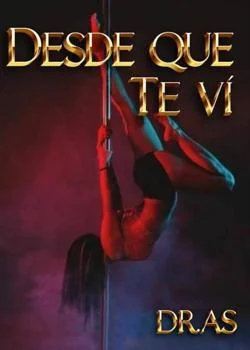 Portada de la novela Desde que te ví 