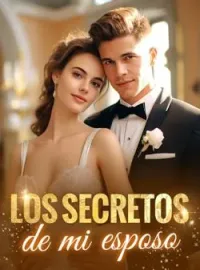 Portada de la novela Los secretos de mi esposo