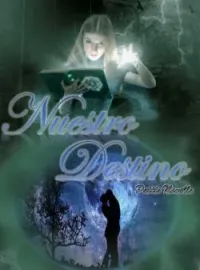 Portada de la novela Nuestro Destino