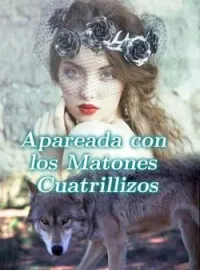 Portada de la novela Apareada con los Matones Cuatrillizos