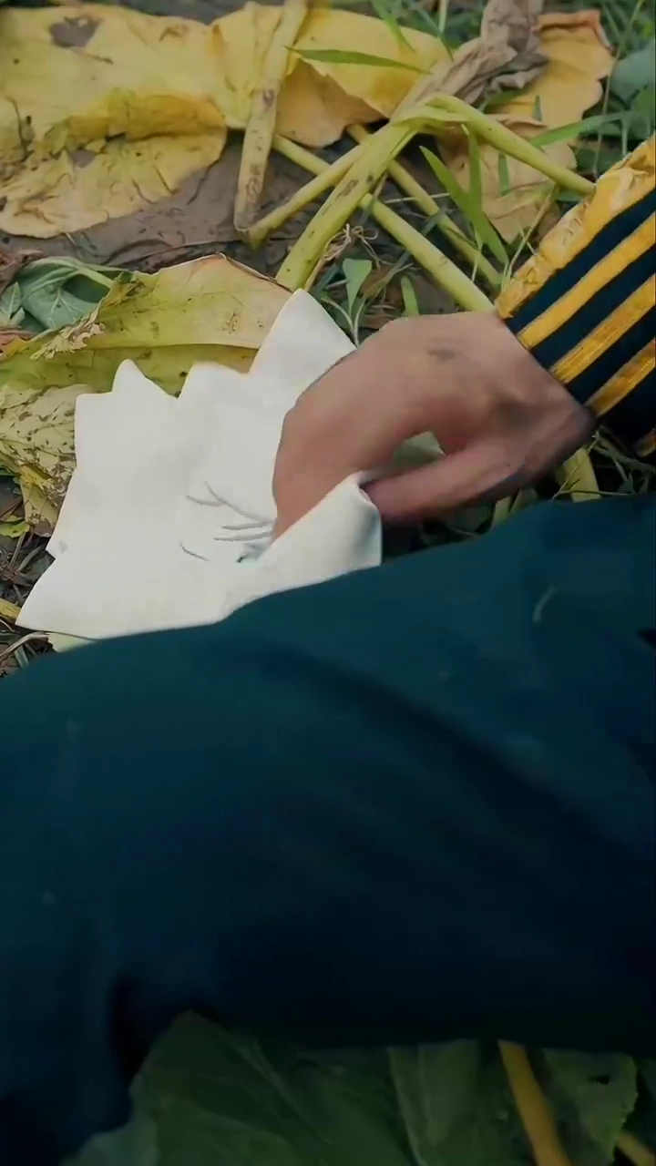 Cinco Anos de Busca, Um Momento de ReconhecimentoFoto