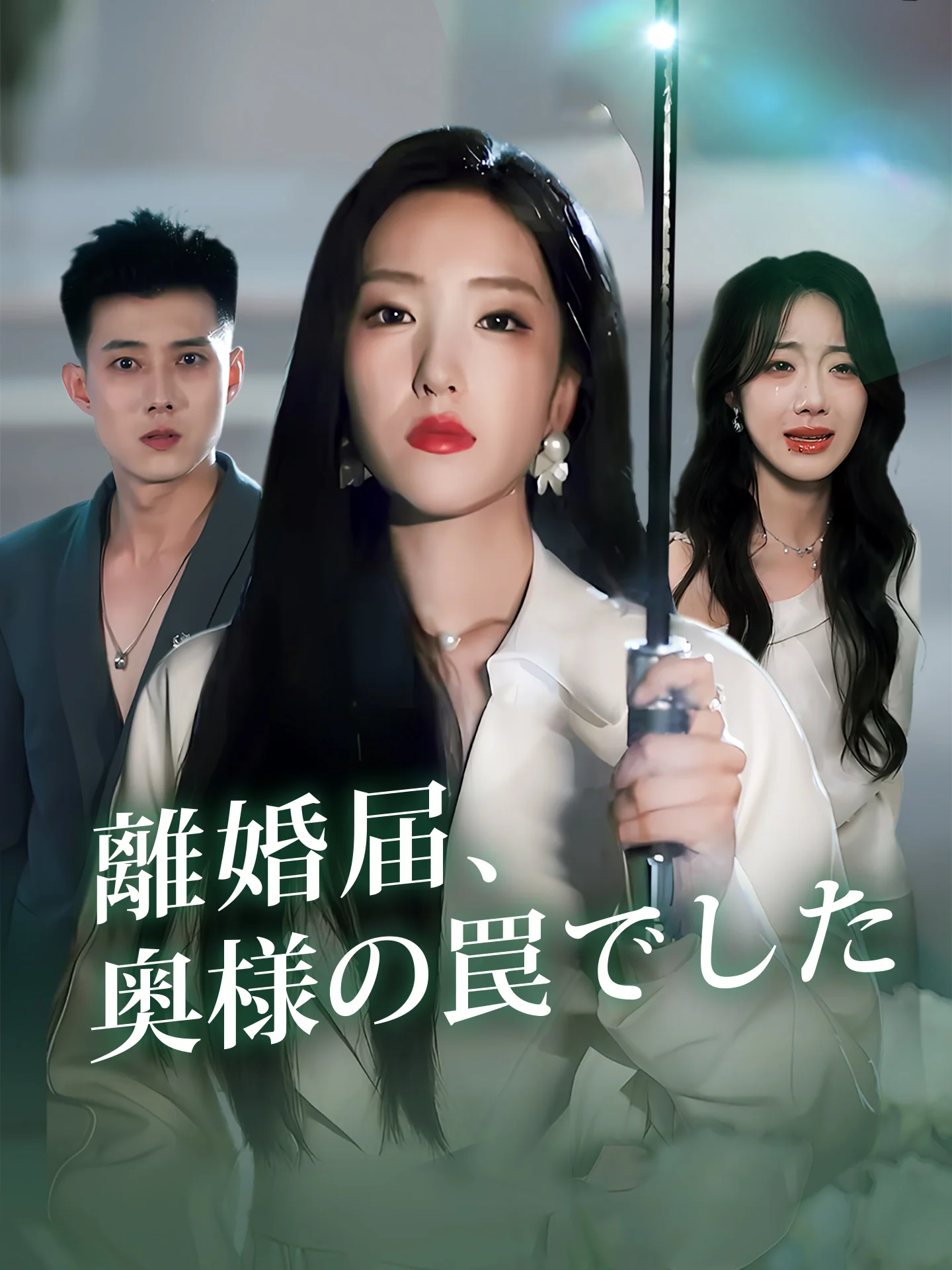 離婚届、奥様の罠でしたミニシリーズ