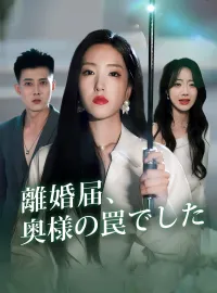離婚届、奥様の罠でしたミニシリーズ